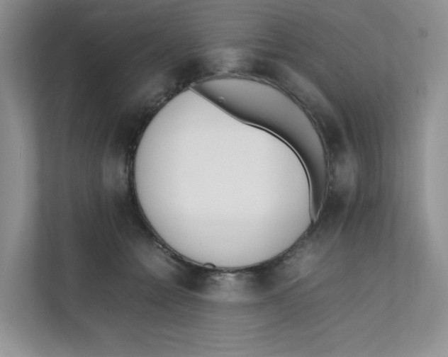 X0000111500558200908041205