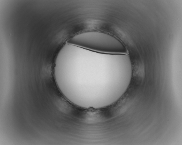 X0000111500560200908041205