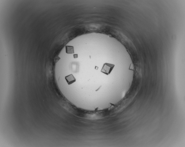 X0000111500561200908041205