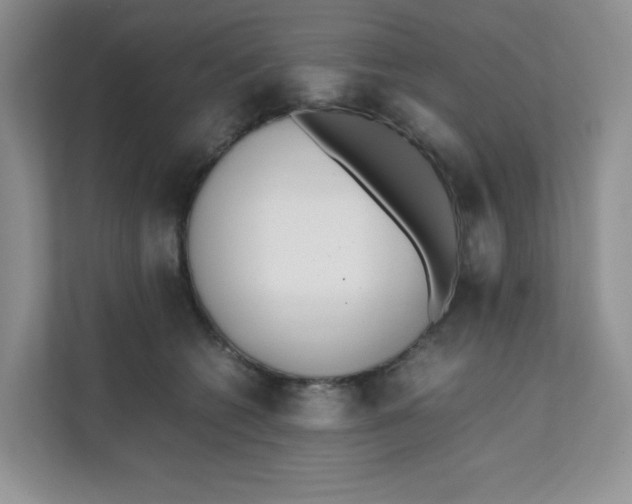 X0000111500562200908041205