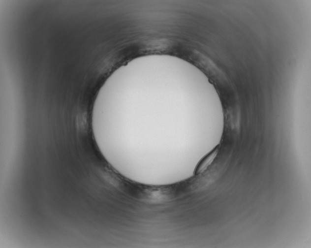 X0000111500564200908041205