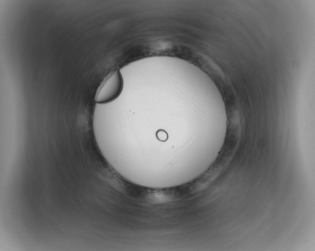 X0000111500565200908041205