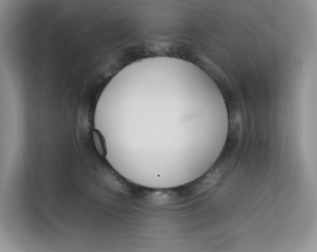 X0000111500566200908041205