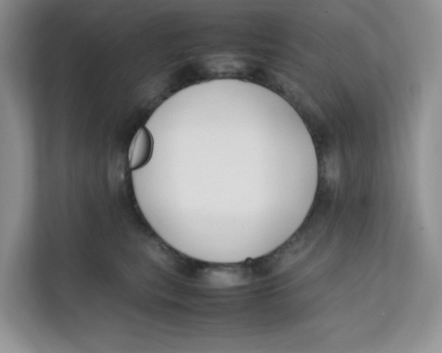 X0000111500567200908041205