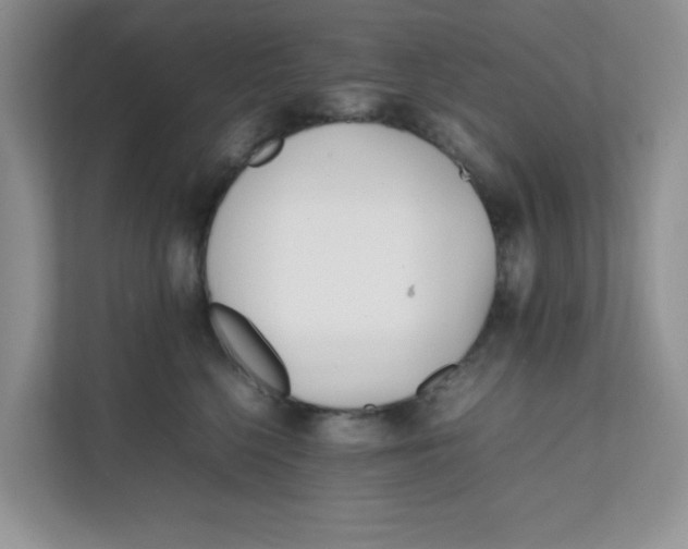 X0000111500568200908041205