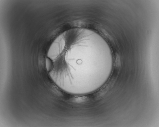 X0000111500569200908041205