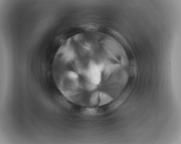 X0000111500573200908041205