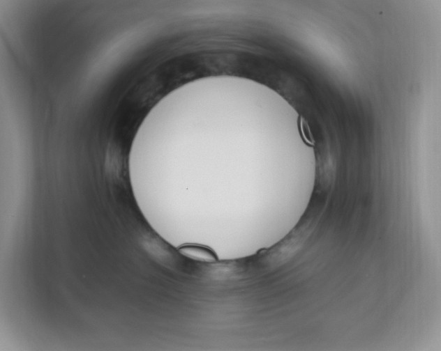 X0000111500574200908041205