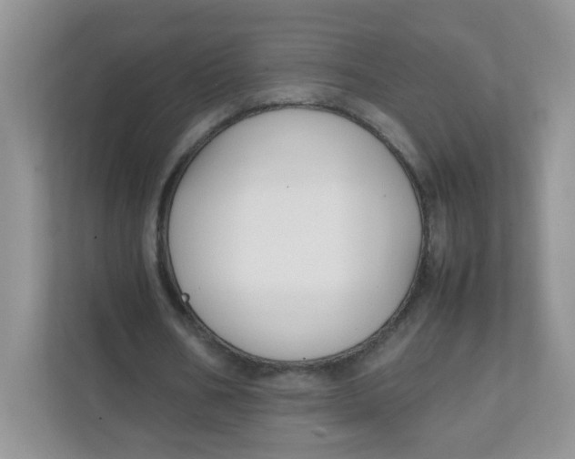 X0000111500578200908041204