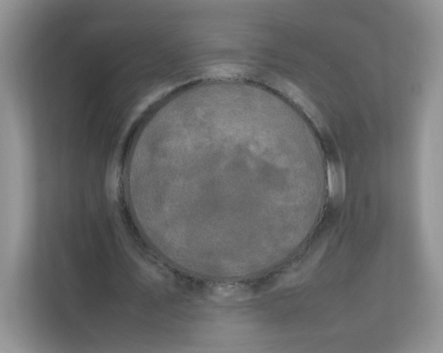 X0000111500579200908041204