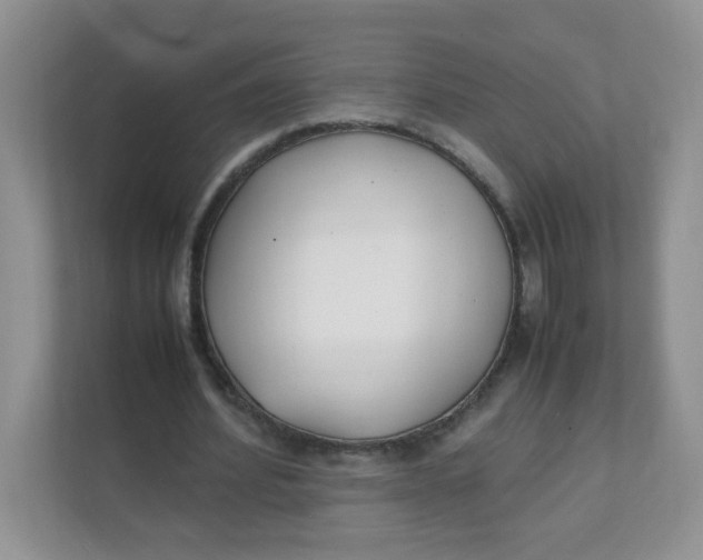 X0000111500580200908041204