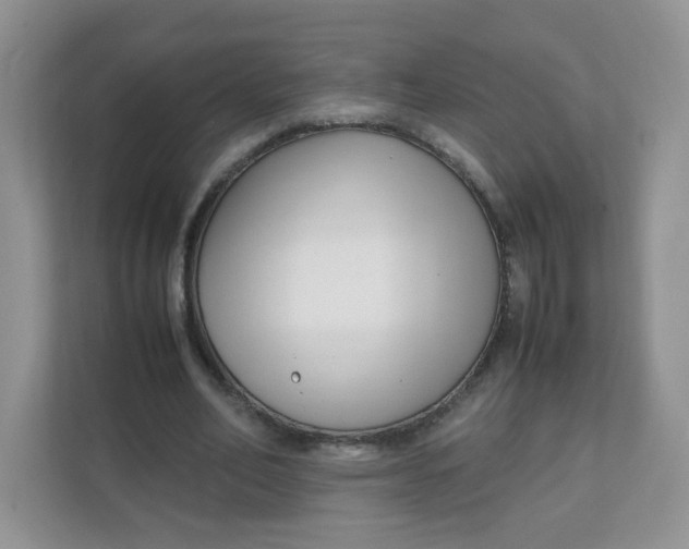 X0000111500582200908041204