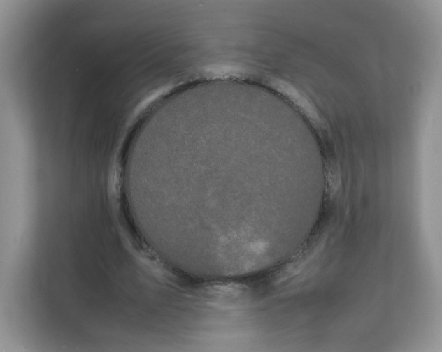 X0000111500583200908041204