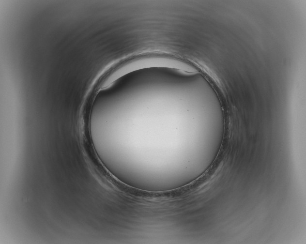 X0000111500584200908041204