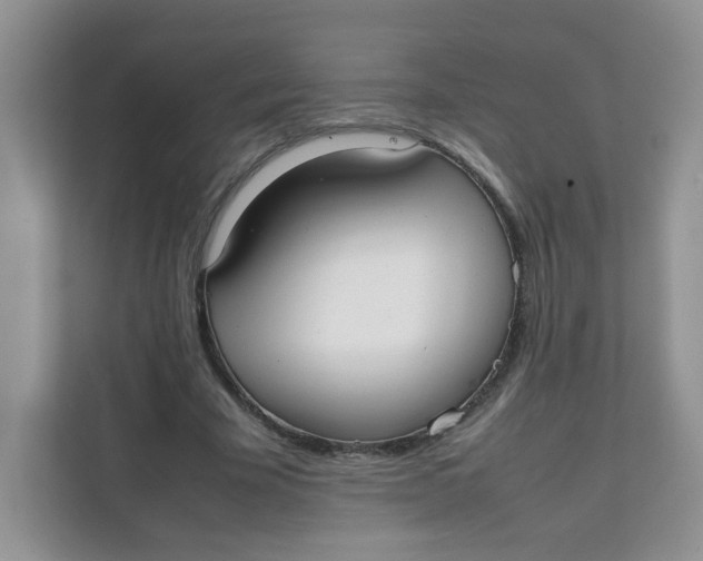 X0000111500585200908041204