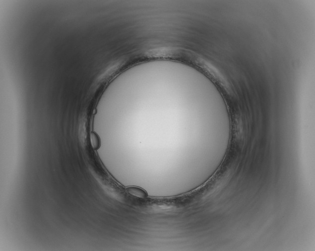 X0000111500586200908041204