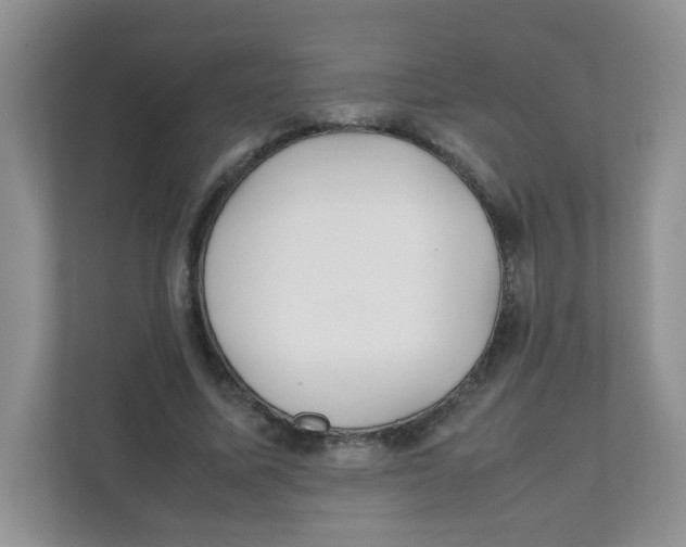 X0000111500587200908041204