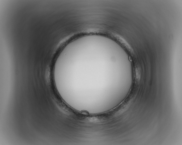 X0000111500588200908041204