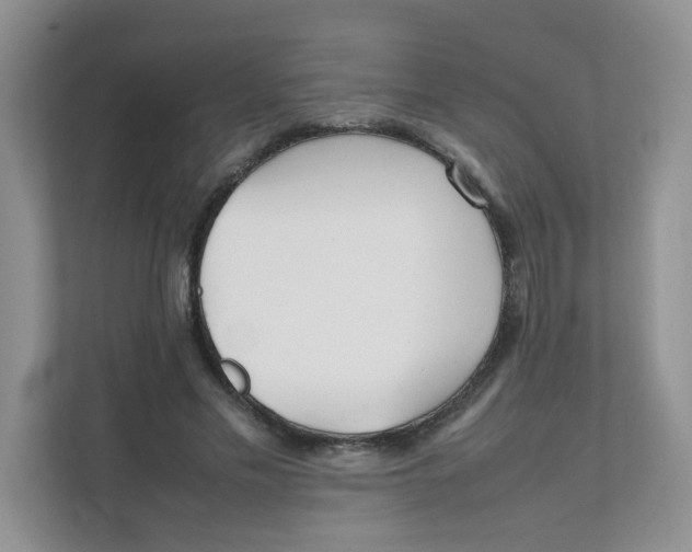 X0000111500589200908041204