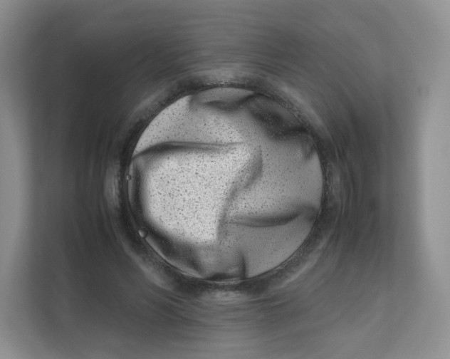 X0000111500590200908041204