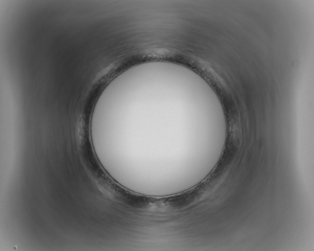 X0000111500591200908041204