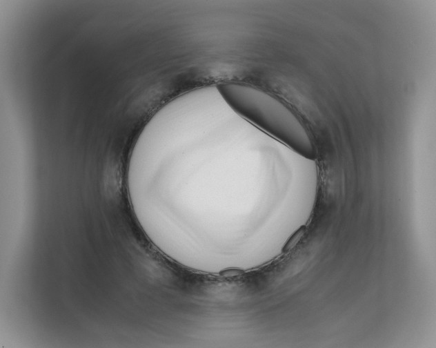 X0000111500593200908041204