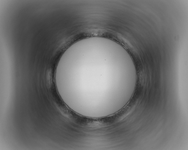 X0000111500594200908041204