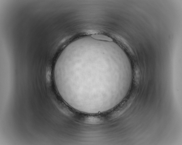 X0000111500596200908041204