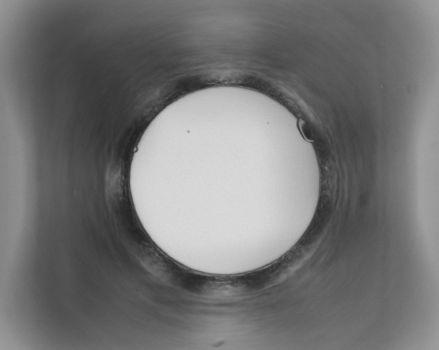 X0000111500597200908041204