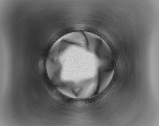 X0000111500598200908041204