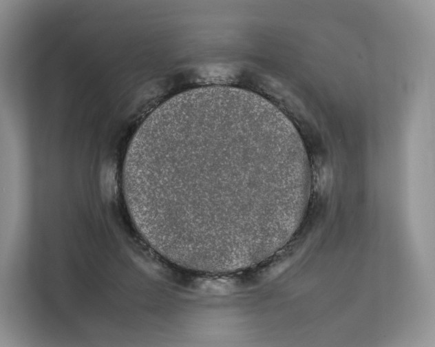 X0000111500599200908041204