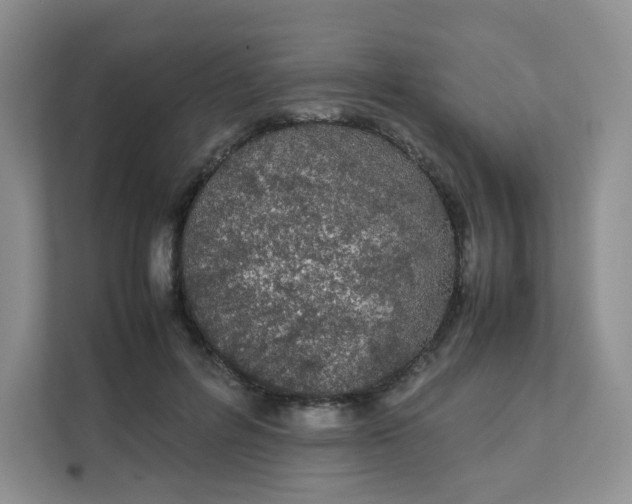 X0000111500600200908041204