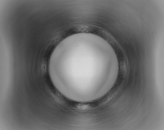 X0000111500602200908041204