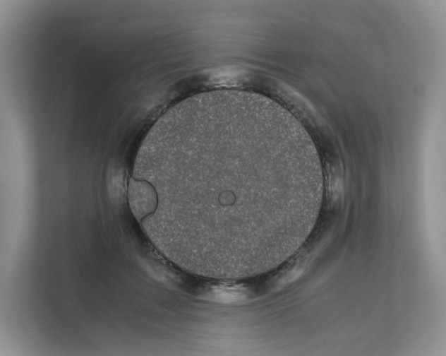 X0000111500603200908041204