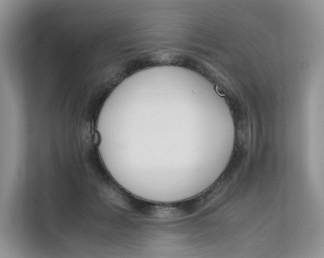 X0000111500605200908041204