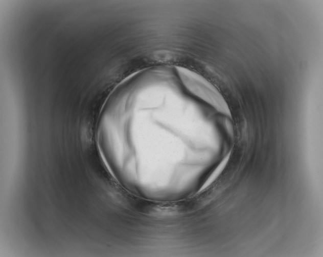 X0000111500606200908041204