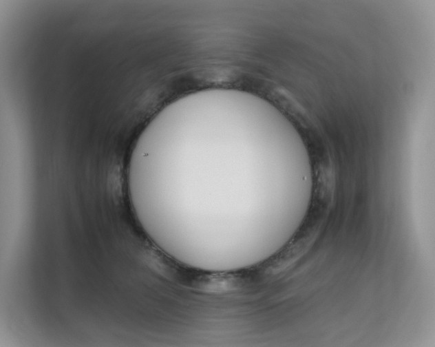 X0000111500612200908041204