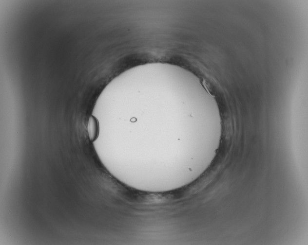 X0000111500613200908041204