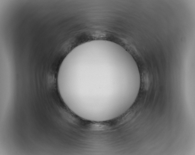 X0000111500614200908041204