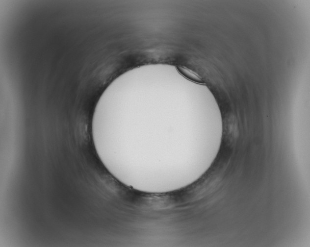 X0000111500615200908041204