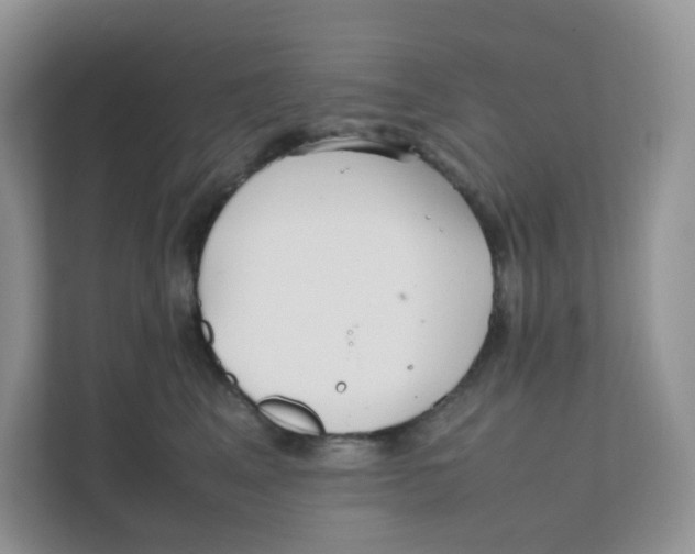 X0000111500617200908041204