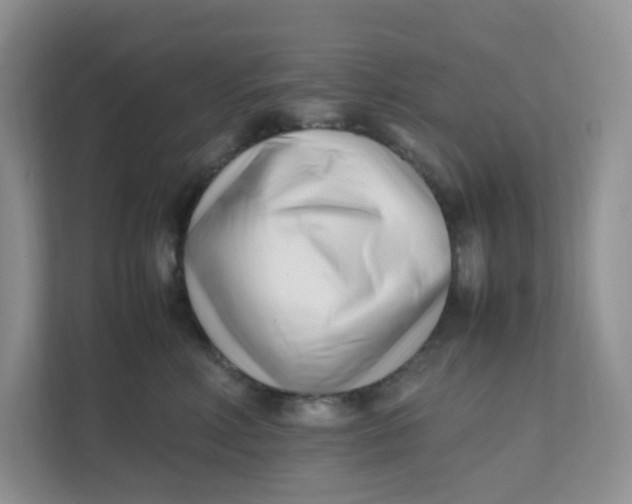 X0000111500618200908041204