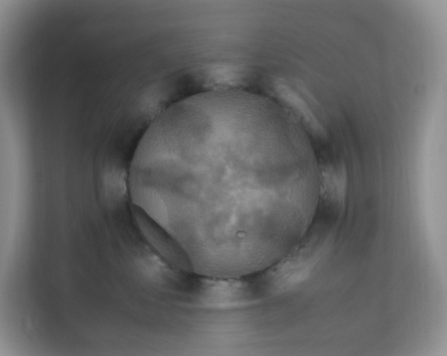 X0000111500621200908041204