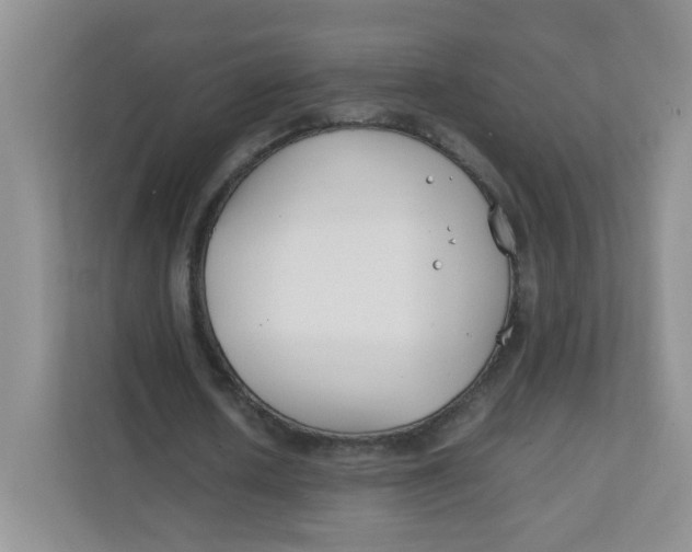 X0000111500626200908041203