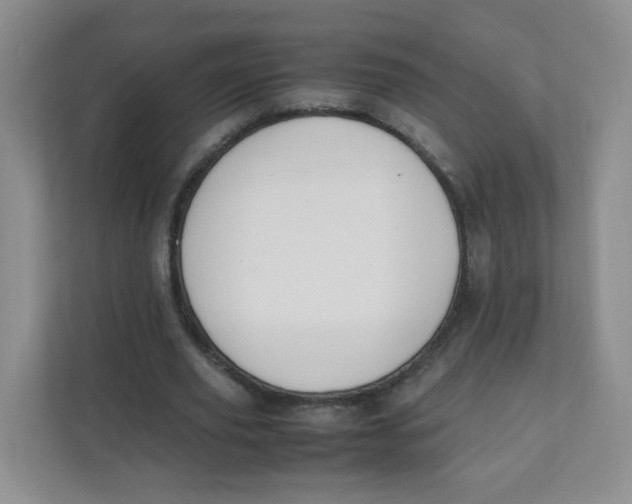 X0000111500629200908041203