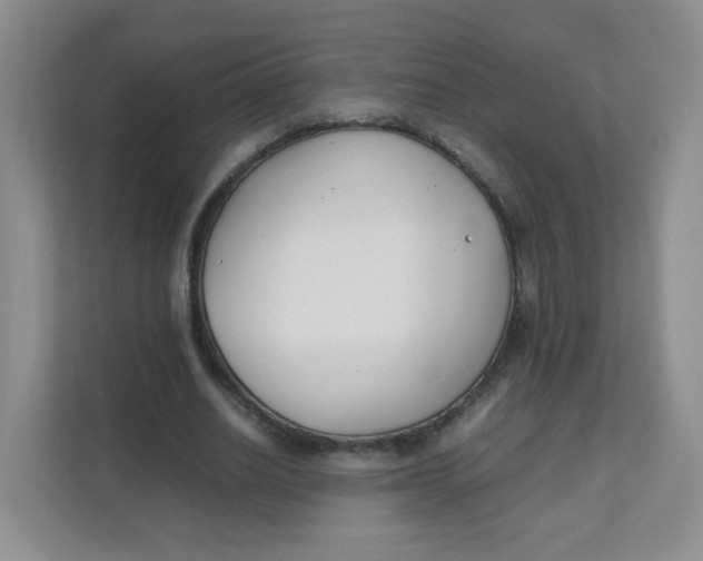 X0000111500630200908041203