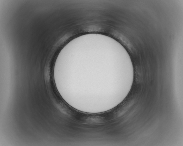 X0000111500631200908041203