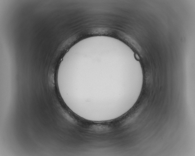 X0000111500633200908041203