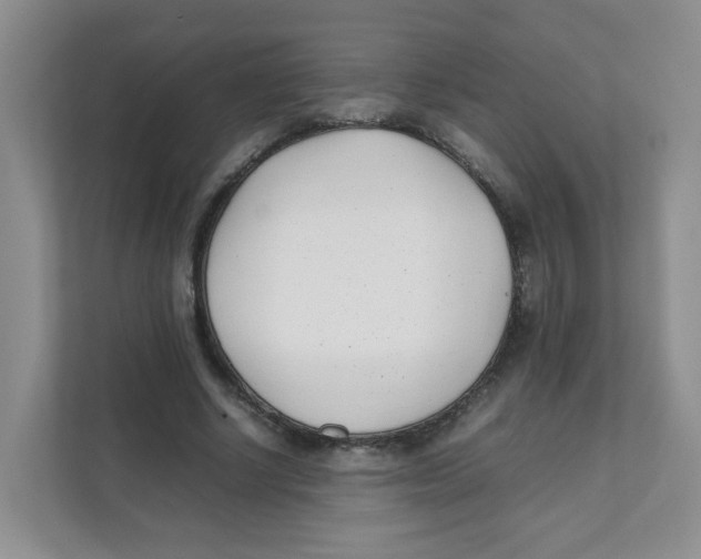 X0000111500634200908041203