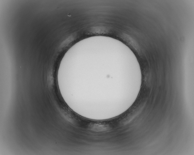 X0000111500635200908041203